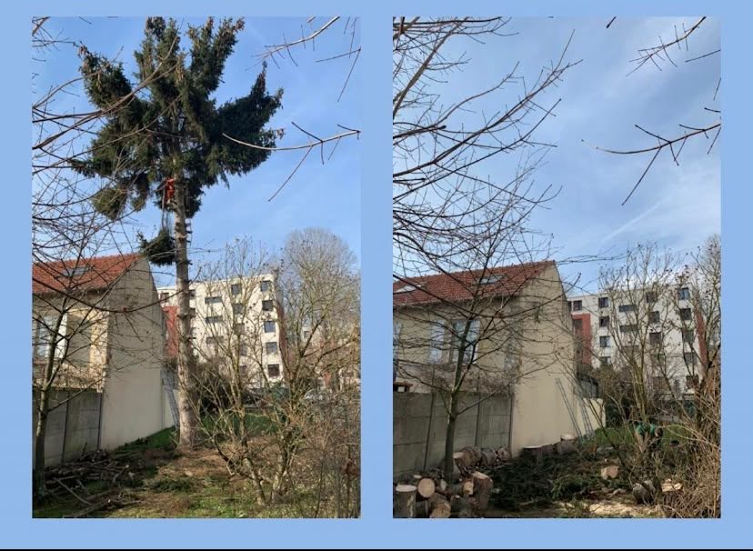 Réalisation Élagueur 2